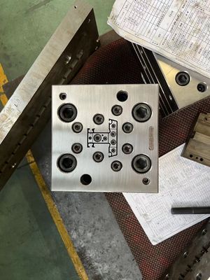 Extrusievorm voor twee holtes Plastic Foaming Die en Extrusion Profile Shaping Tool