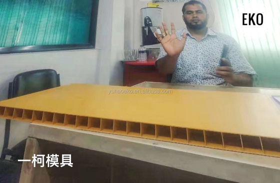 Plastic Sport Training Marker Dis EKO MB-1000 voor PVC Hollow Panel Extrusion Mould