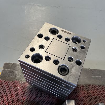 Plastic Material UPVC Profile Extrusion Mold Design voor productvoertuigvorm