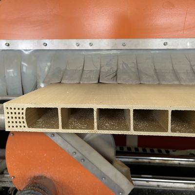 Elektroplatering Polijst Extrusie Vorm voor WPC wandpaneel Productielijn EKO Design