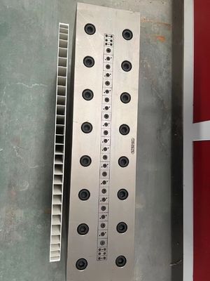 1 holte PVC plastic extrusie kalibrator Die voor PVC deurpaneel vorm in maat