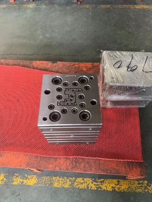 Huishoudelijk product Mould Extrusion Mould voor UPVC Window Door Profile Making Machine