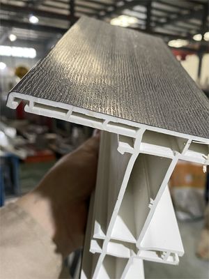 Elektroplatering Poetsvorm voor AutoCAD Ontworpen Eko Profiel UPVC deuren en ramen