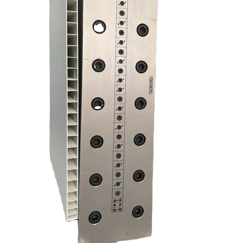 1 holte PVC plastic extrusie kalibrator Die voor PVC deurpaneel vorm in maat